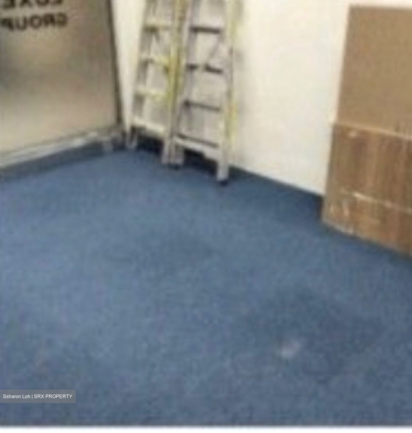 Far East Shopping Centre (D9), Shop House #502116181